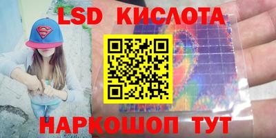гашик Волжский
