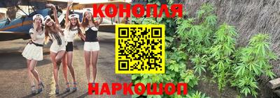 гашик Волжский