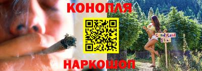 гашик Волжский
